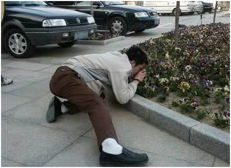 Những khoảnh khắc thú vị của nhiếp ảnh gia (Phần 2)