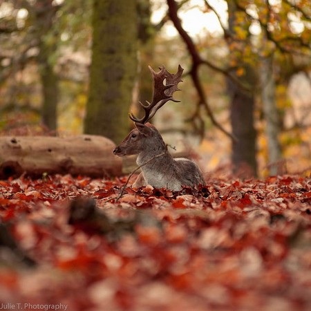 Phạm Thế Quang Huy