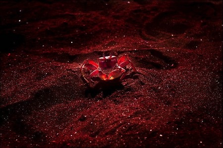 Phạm Thế Quang Huy