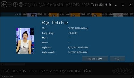 Hiển thị đặc tính của file trên IE