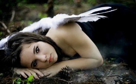 Phạm Thế Quang Huy