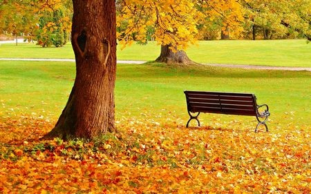Đẹp tuyệt vời bộ sưu tập hình nền “mùa thu” - 16 Đẹp tuyệt vời bộ sưu tập hình nền “mùa thu”
