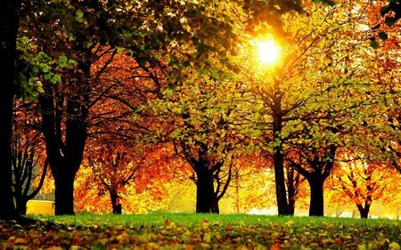 Đẹp tuyệt vời bộ sưu tập hình nền “mùa thu” - 18 Đẹp tuyệt vời bộ sưu tập hình nền “mùa thu”
