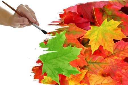 Đẹp tuyệt vời bộ sưu tập hình nền “mùa thu” - 4 Đẹp tuyệt vời bộ sưu tập hình nền “mùa thu”