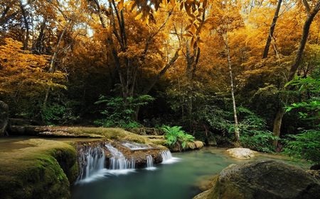 Đẹp tuyệt vời bộ sưu tập hình nền “mùa thu” - 8 Đẹp tuyệt vời bộ sưu tập hình nền “mùa thu”