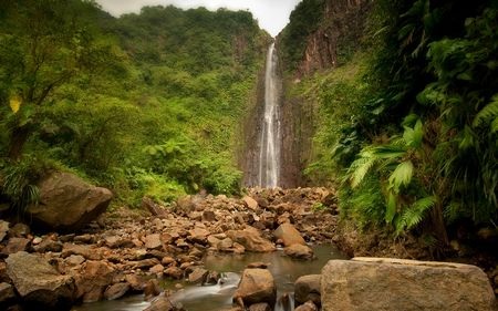 Tuyệt đẹp bộ sưu tập hình nền và giao diện dành cho người yêu thiên nhiên - 11 Tuyệt đẹp bộ sưu tập hình nền và giao diện dành cho người yêu thiên nhiên