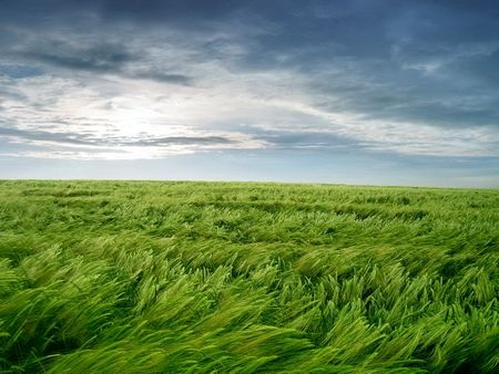 Tuyệt đẹp bộ sưu tập hình nền và giao diện dành cho người yêu thiên nhiên - 23 Tuyệt đẹp bộ sưu tập hình nền và giao diện dành cho người yêu thiên nhiên