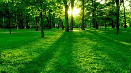 Tuyệt đẹp bộ sưu tập hình nền và giao diện dành cho người yêu thiên nhiên - 4 Tuyệt đẹp bộ sưu tập hình nền và giao diện dành cho người yêu thiên nhiên