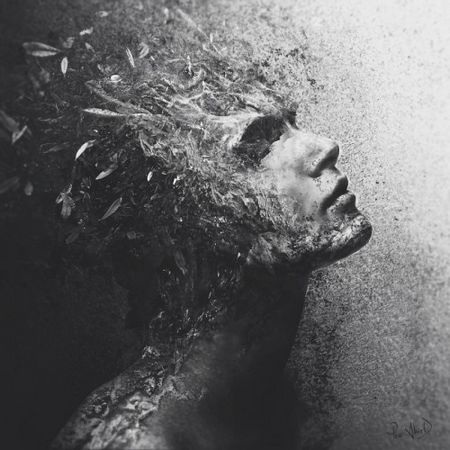 Phạm Thế Quang Huy