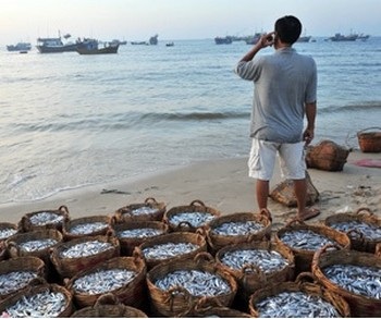 Ngoài sóng biển, sóng 3G giúp ngư dân biển làm giàu – Cô Tô, Quảng Ninh.