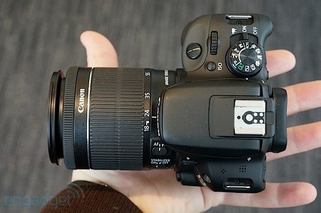 canon d 1300