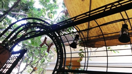 Ảnh chụp thực tế từ HTC Butterfly cho màu sắc tương phản tốt