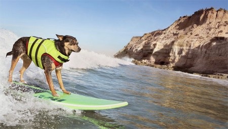 Những kỷ lục Guinness khác thường