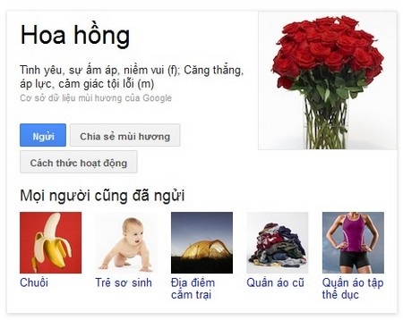 Chức năng “Ngửi” đang được thử nghiệm trên Google