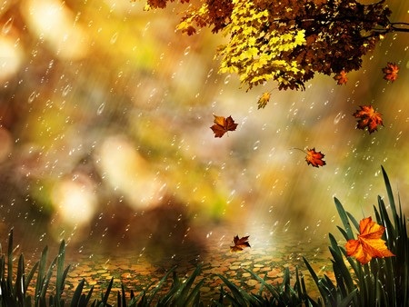 Phạm Thế Quang Huy