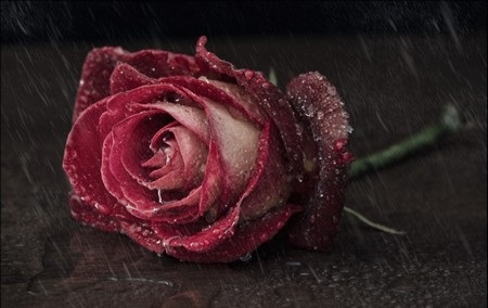 Phạm Thế Quang Huy