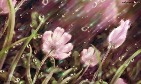 Phạm Thế Quang Huy