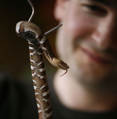 Ludwin bắt đầu tiêm nọc rắn độc vào người từ cách đây 20 năm