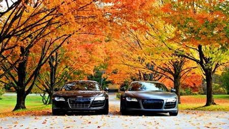Bộ sưu tập hình nền cho người yêu Audi R8 - 6 T.Thủy