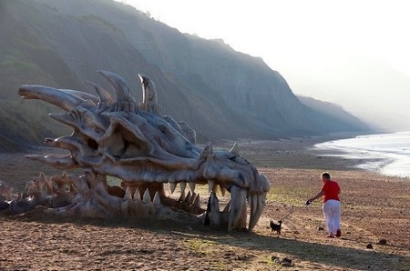 Sự xuất hiện của chiếc đầu khổng lồ thu hút sự chú ý của nhiều người