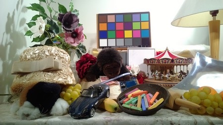 Chụp ảnh trong nhà - 