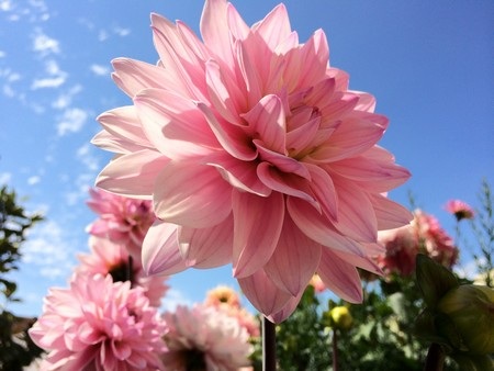 Ấn tượng với ảnh thực tế chụp từ camera của iPhone 5S - 3 Video giới thiệu về camera trên iPhone 5S: