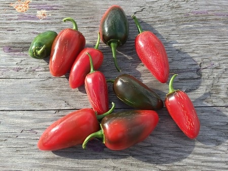 Ấn tượng với ảnh thực tế chụp từ camera của iPhone 5S - 4 Video giới thiệu về camera trên iPhone 5S: