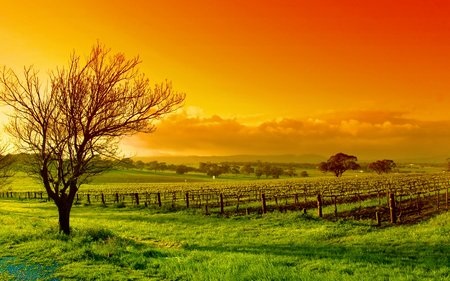 Mang mùa thu lãng mạn lên Windows với bộ sưu tập hình nền tuyệt đẹp - 6 Phạm Thế Quang Huy
