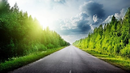 Phạm Thế Quang Huy