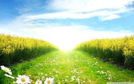 Phạm Thế Quang Huy