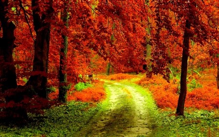 Phạm Thế Quang Huy