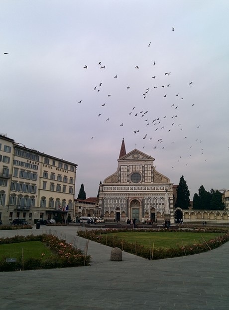 Ảnh chụp từ Nexus 5 tuyệt đẹp qua tài nghệ của nhiếp ảnh gia - 2 Ảnh chụp từ Nexus 5 đã qua chỉnh sửa từ ứng dụng tích hợp sẵn trên smartphone: