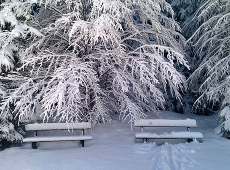 Ảnh chụp từ Nexus 5 tuyệt đẹp qua tài nghệ của nhiếp ảnh gia - 20 Ảnh chụp từ Nexus 5 đã có sự chỉnh sửa bằng ứng dụng VSCO Cam dành cho Android: