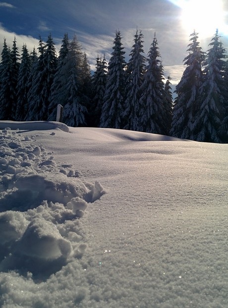 Ảnh chụp từ Nexus 5 tuyệt đẹp qua tài nghệ của nhiếp ảnh gia - 23 Ảnh chụp từ Nexus 5 đã có sự chỉnh sửa bằng ứng dụng VSCO Cam dành cho Android: