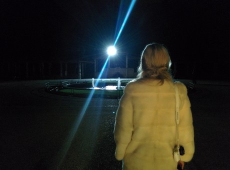 Ảnh chụp từ Nexus 5 tuyệt đẹp qua tài nghệ của nhiếp ảnh gia - 28 Phạm Thế Quang Huy