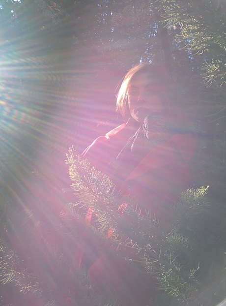 Ảnh chụp từ Nexus 5 tuyệt đẹp qua tài nghệ của nhiếp ảnh gia - 3 Ảnh chụp từ Nexus 5 đã qua chỉnh sửa từ ứng dụng tích hợp sẵn trên smartphone: