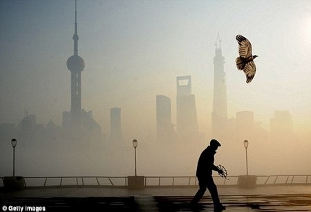 Rất nhiều người quan tâm và thích thú loại sản phẩm đặc biệt này.