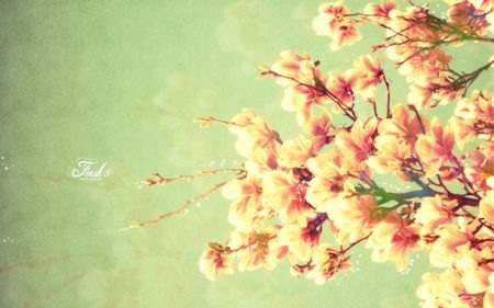 Tuyệt đẹp bộ sưu tập hình nền “sắc màu mùa xuân” cho máy tính - 28 Phạm Thế Quang Huy