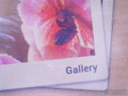 So sánh sự khác biệt giữa màn hình 2K và Full HD trên smartphone - 7 Màn hình Full HD (trên) và 2K (dưới)