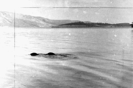 Những bức ảnh nổi tiếng về “quái vật huyền thoại” hồ Loch Ness - 3 Những bức ảnh nổi tiếng về “quái vật huyền thoại” hồ Loch Ness