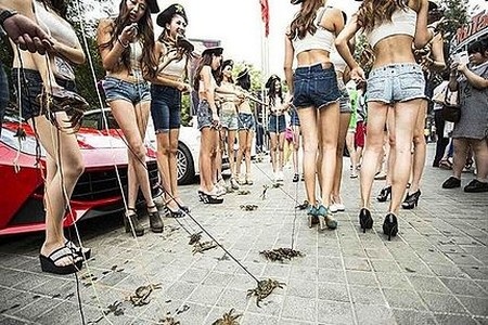 Nhà hàng thuê “chân dài” dắt cua đi dạo để gây sự chú ý - 1 Những cô gái chân dài dắt cua đi dạo trên đường khiến nhiều người chú ý