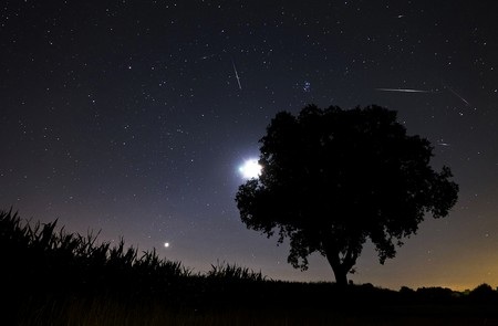 Cơn mưa sao băng Perseids sẽ diễn ra đồng thời với hiện tượng siêu trăng