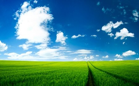 Nhẹ nhàng và lãng mạn với bộ sưu tập hình nền “nắng hè” - 3 Phạm Thế Quang Huy