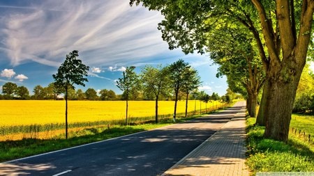 Nhẹ nhàng và lãng mạn với bộ sưu tập hình nền “nắng hè” - 5 Phạm Thế Quang Huy
