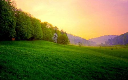 Nhẹ nhàng và lãng mạn với bộ sưu tập hình nền “nắng hè” - 9 Phạm Thế Quang Huy
