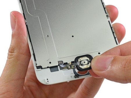 Hình ảnh "mổ xẻ" iPhone 6 Plus vừa bán ra thị trường - 10 Màn hình và phần thân máy sau khi đã tách rời.