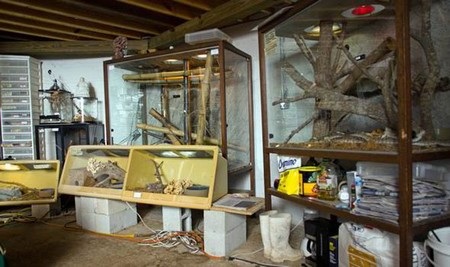 Những chiếc lồng nuôi rắn bên trong căn nhà nhỏ của Kilian