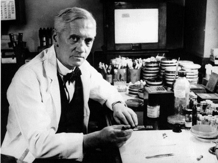 Những giải Nobel Y học mang tính cách mạng nhất trong lịch sử - 2 Kháng sinh penicillin đóng vai trò quan trọng trong ngành y học hiện đại