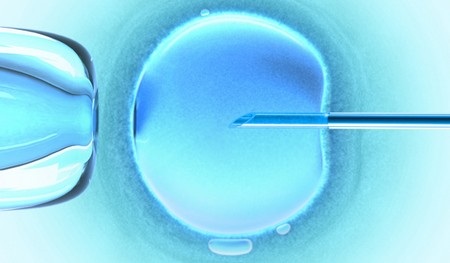 Những giải Nobel Y học mang tính cách mạng nhất trong lịch sử - 4 Phương pháp thụ tinh trong ống nghiệm giúp mở ra hy vọng có con cho những cặp vợ chồng hiếm muộn