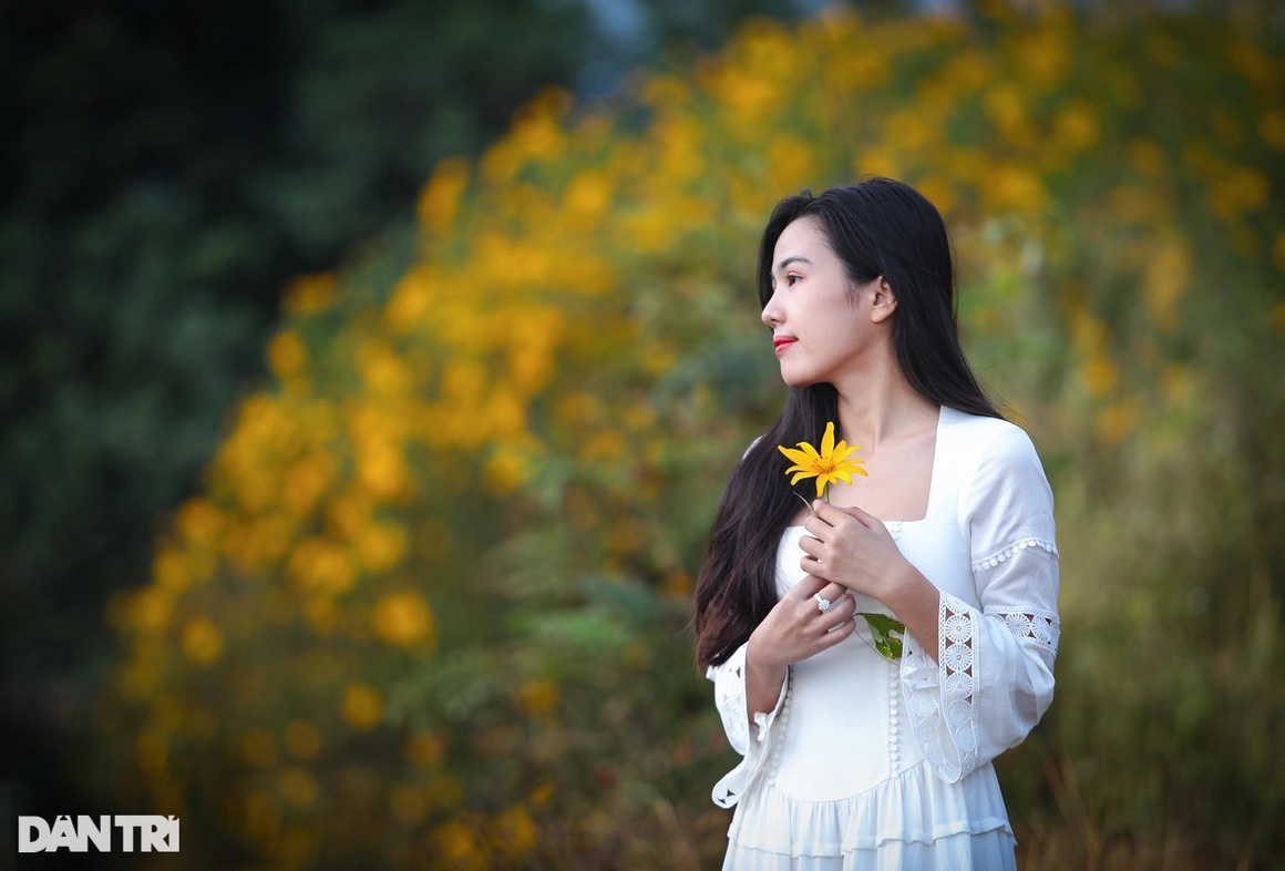 Wild sunflowers bloom on the hillside, young people flock to the outskirts of Da Lat to check-in - 20